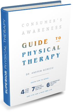 Consumers Awareness Guide to Physical Therapy Ebook icon